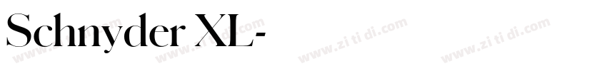 Schnyder XL字体转换